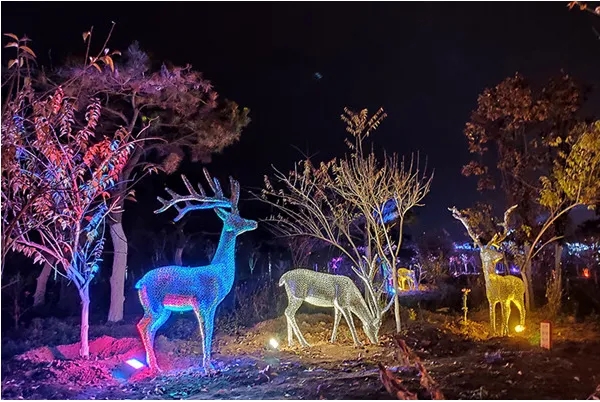 成都照明亮化好色先生TV版製作安裝
