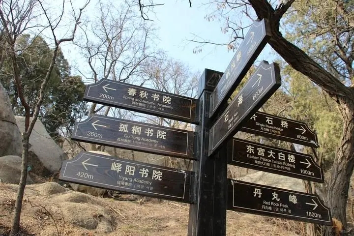 成都廣告好色先生TV版標識牌廣告製造的材料